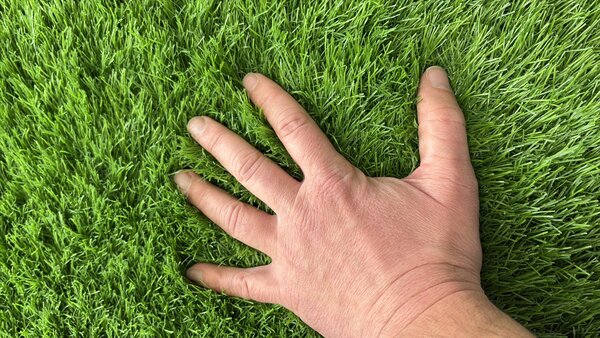 Gazon Artificial Sri Lanka, Inaltime Fir 40 mm, Latime 1m, Marime 100 x 100 cm, Verde, Antialergic, Polipropilena, Curte, Terasa, Balcon, Piscina, Loc