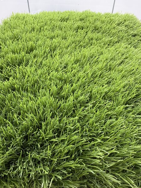Gazon Artificial Sri Lanka, Inaltime Fir 40 mm, Latime 1m, Marime 100 x 100 cm, Verde, Antialergic, Polipropilena, Curte, Terasa, Balcon, Piscina, Loc