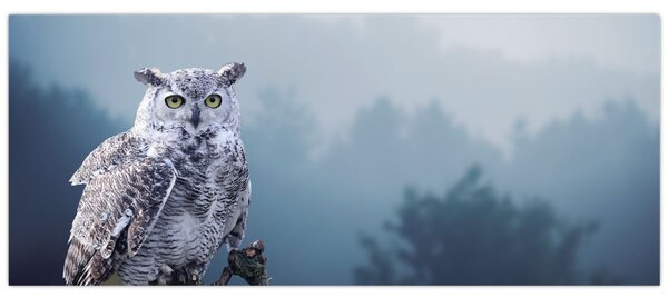 Tablou - Bufniță de zăpadă (120x50 cm)