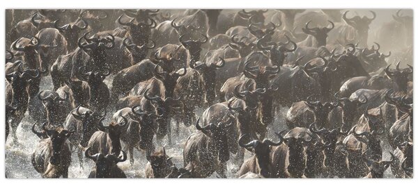 Tablou - Turmă de antilope sălbatice (120x50 cm)