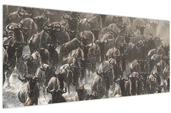 Tablou - Turmă de antilope sălbatice (120x50 cm)