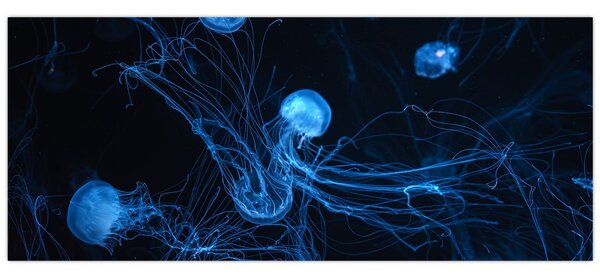 Tablou - Meduză (120x50 cm)
