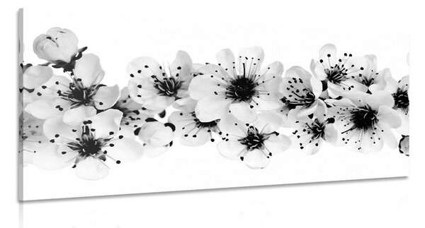 Tablou flori de cires alb-negru