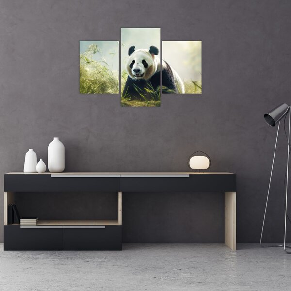 Tablou - Panda (90x60 cm)