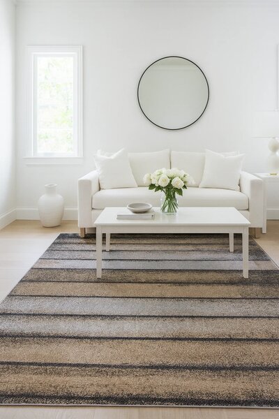 Covor 11196-BG29 Marime 80 x 150 cm,Bej Gri, Inaltime Fir 9 mm, Antialergic, Polipropilena, Living, Dormitor, Sufragerie, Birou 80 x 150