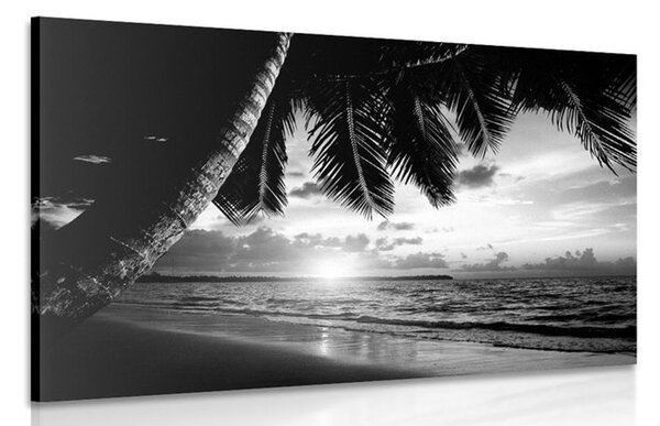 Tablou răsărit de soare pe o plajă din Caraibe alb-negru