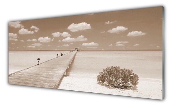 Tablou pe sticla Marea Podul Peisaj Sepia