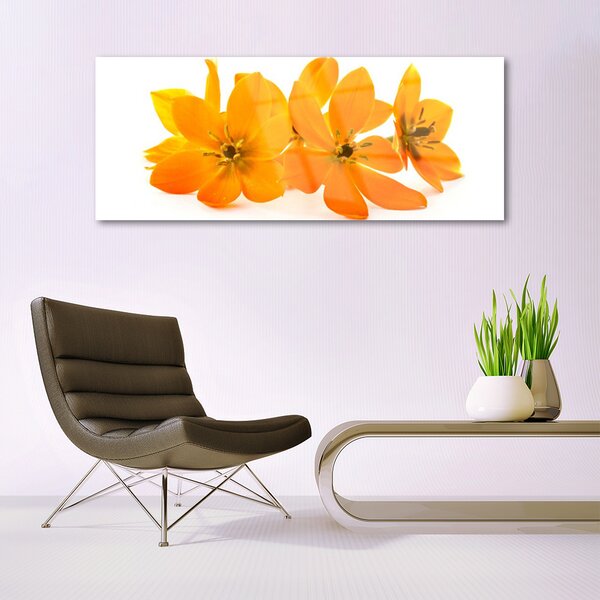 Tablou pe sticla Flori Floral Orange