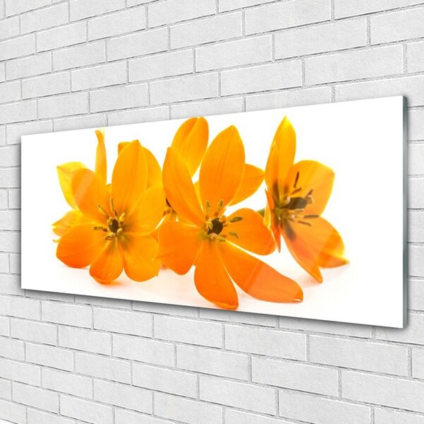 Tablou pe sticla Flori Floral Orange