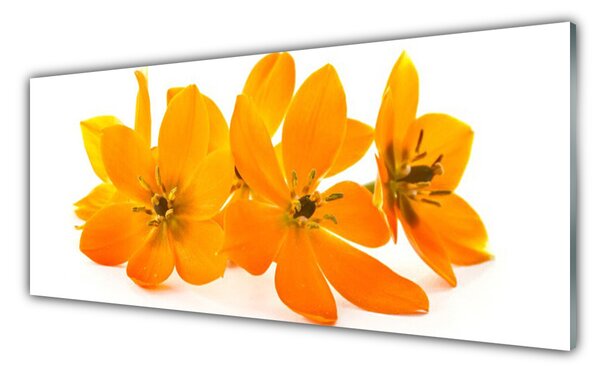 Tablou pe sticla Flori Floral Orange