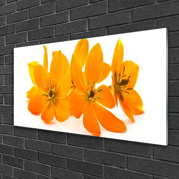 Tablou pe sticla Flori Floral Orange