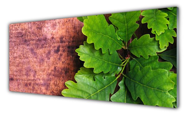 Tablou pe sticla Frunze de stejar verde florale