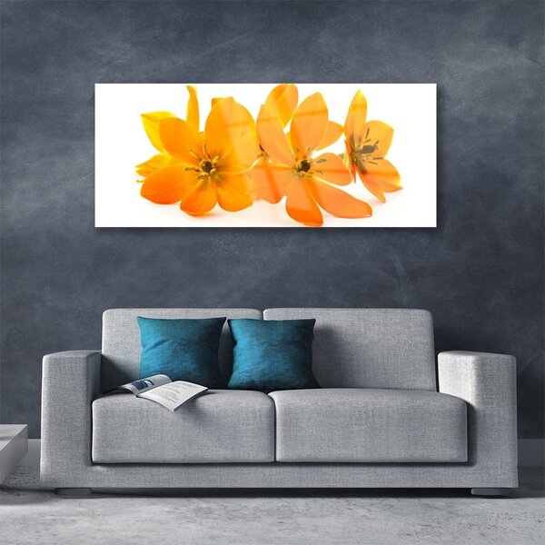 Tablou pe sticla Flori Floral Orange