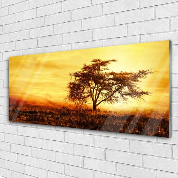 Tablou pe sticla Copac Natura Orange