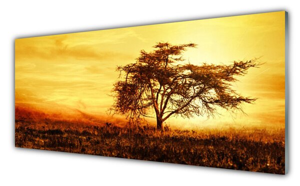 Tablou pe sticla Copac Natura Orange