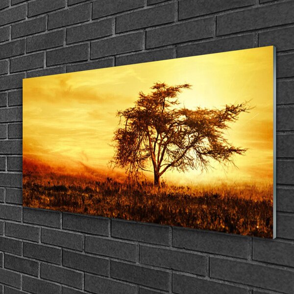Tablou pe sticla Copac Natura Orange