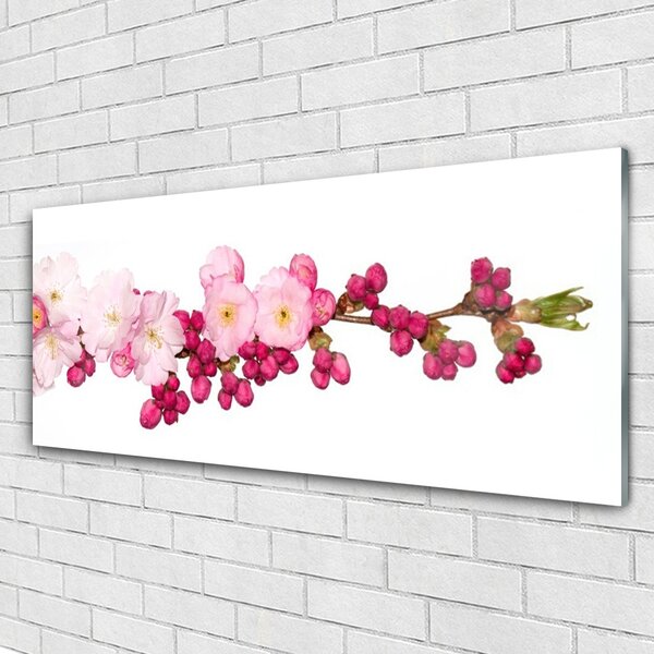 Tablou pe sticla Flower Branch Floral roz