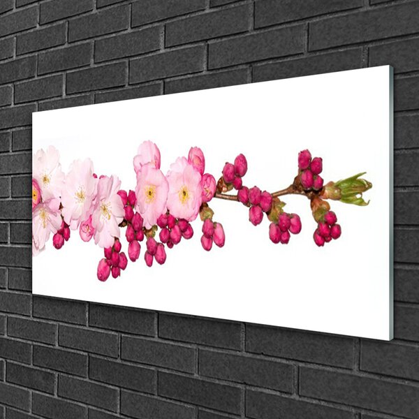 Tablou pe sticla Flower Branch Floral roz