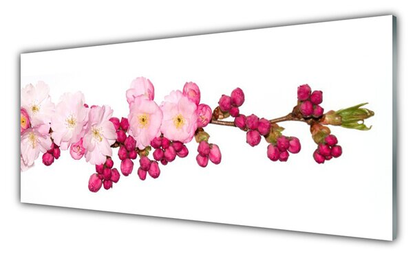 Tablou pe sticla Flower Branch Floral roz