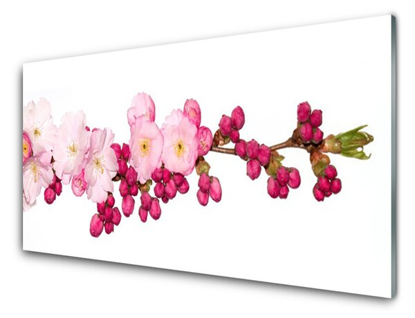 Tablou pe sticla Flower Branch Floral roz