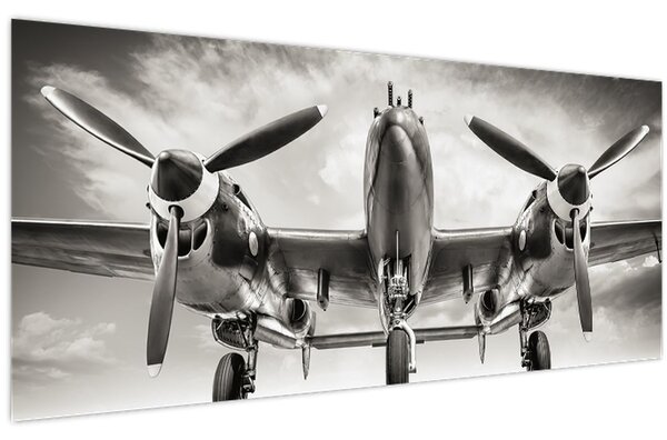 Tablou - Warbird (120x50 cm)