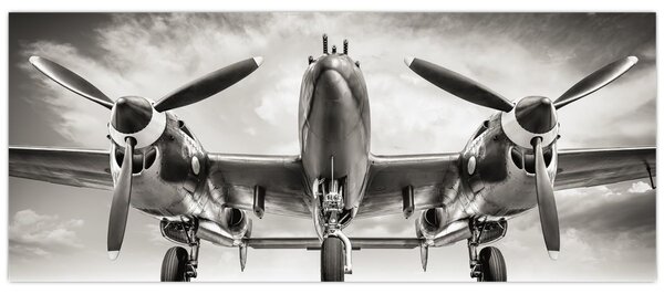 Tablou - Warbird (120x50 cm)