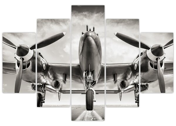 Tablou - Warbird (150x105 cm)