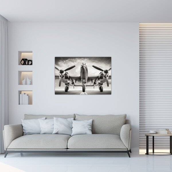 Tablou - Warbird (90x60 cm)