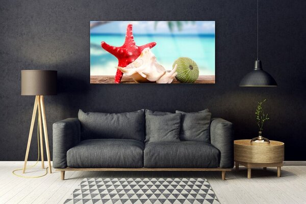 Tablou pe sticla Seashell Cochilii Art Roșu Verde Albastru