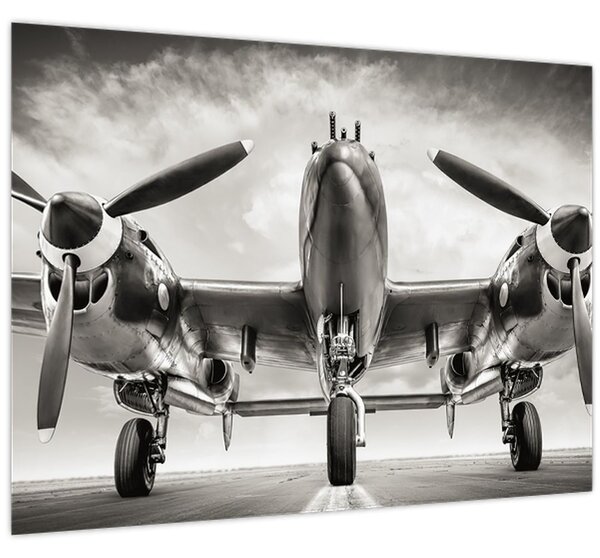 Tablou - Warbird (70x50 cm)