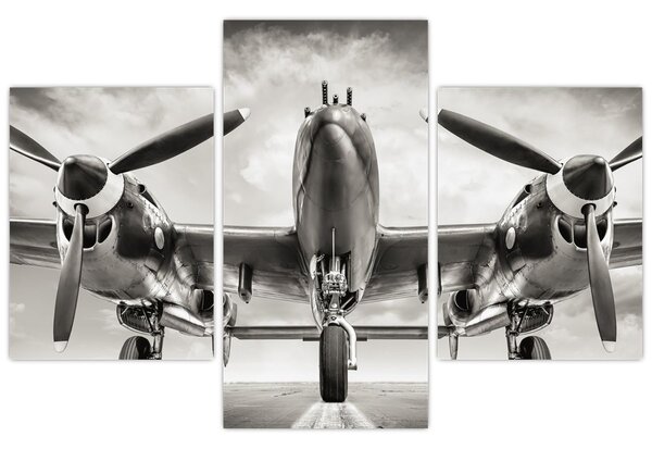 Tablou - Warbird (90x60 cm)