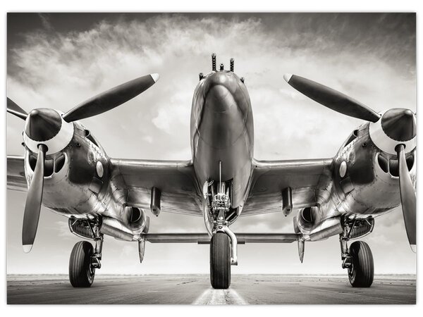 Tablou - Warbird (70x50 cm)