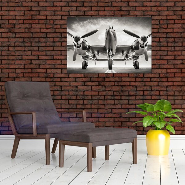 Tablou - Warbird (90x60 cm)