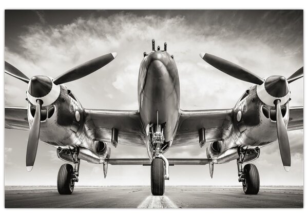 Tablou - Warbird (90x60 cm)