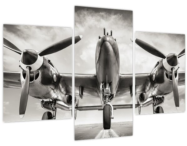Tablou - Warbird (90x60 cm)
