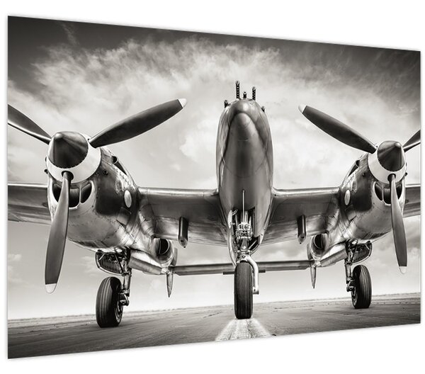 Tablou - Warbird (90x60 cm)