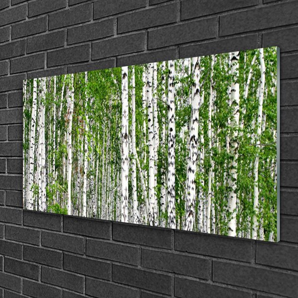 Tablou pe sticla Birch Forest Copaci Natura Verde Alb