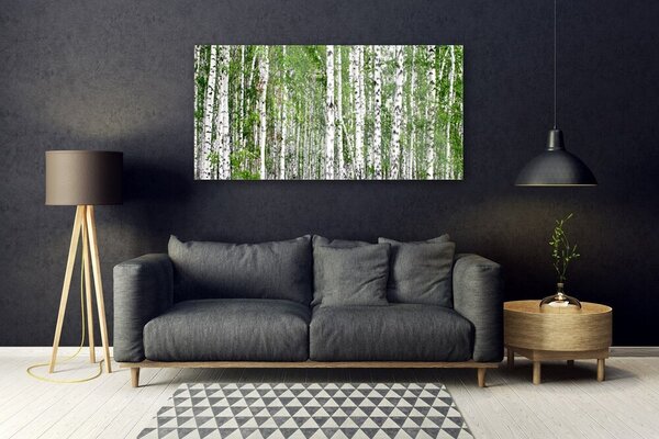 Tablou pe sticla Birch Forest Copaci Natura Verde Alb