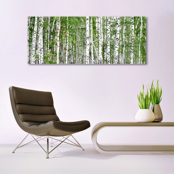 Tablou pe sticla Birch Forest Copaci Natura Verde Alb
