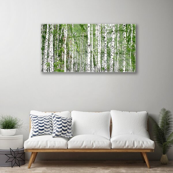 Tablou pe sticla Birch Forest Copaci Natura Verde Alb