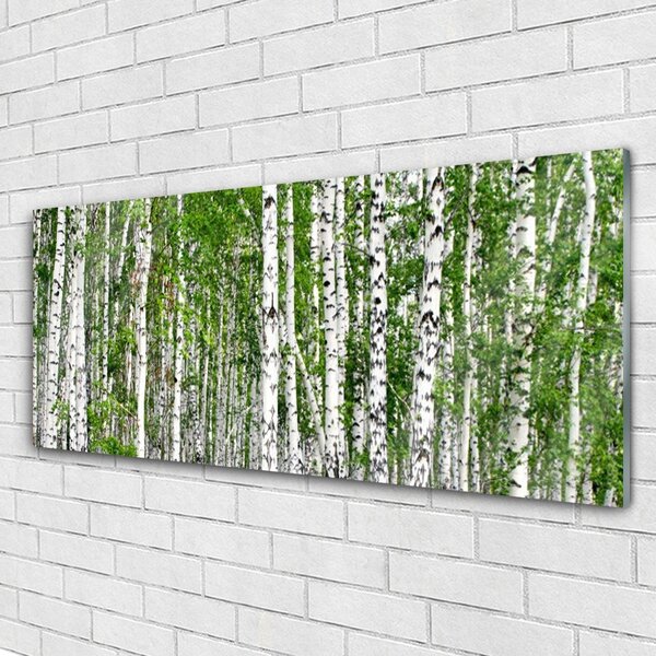 Tablou pe sticla Birch Forest Copaci Natura Verde Alb