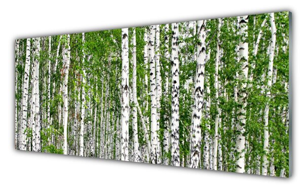 Tablou pe sticla Birch Forest Copaci Natura Verde Alb