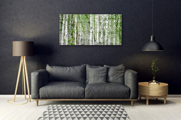 Tablou pe sticla Birch Forest Copaci Natura Verde Alb