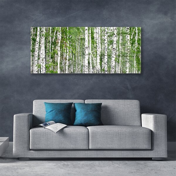 Tablou pe sticla Birch Forest Copaci Natura Verde Alb