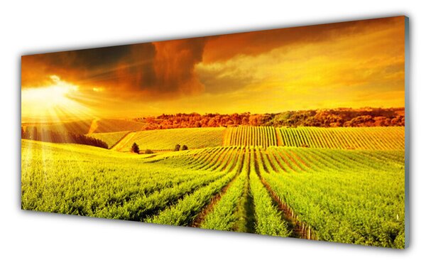 Panou sticla bucatarie Câmp Sunset Peisaj Verde Galben