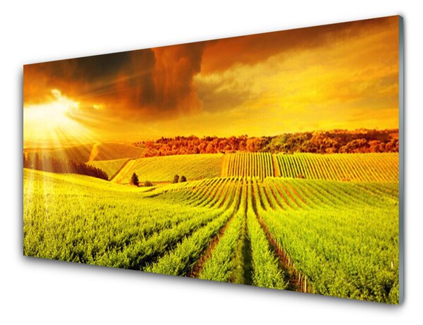 Panou sticla bucatarie Câmp Sunset Peisaj Verde Galben