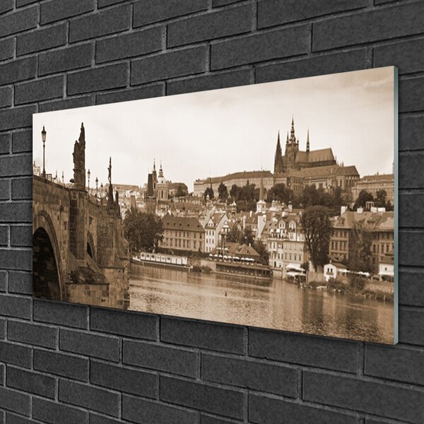 Tablou pe sticla Praga Podul Peisaj Sepia