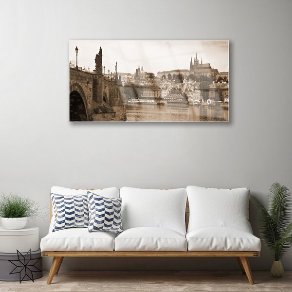 Tablou pe sticla Praga Podul Peisaj Sepia