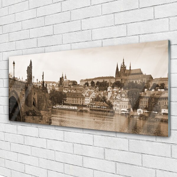 Tablou pe sticla Praga Podul Peisaj Sepia