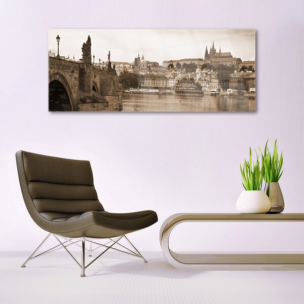 Tablou pe sticla Praga Podul Peisaj Sepia
